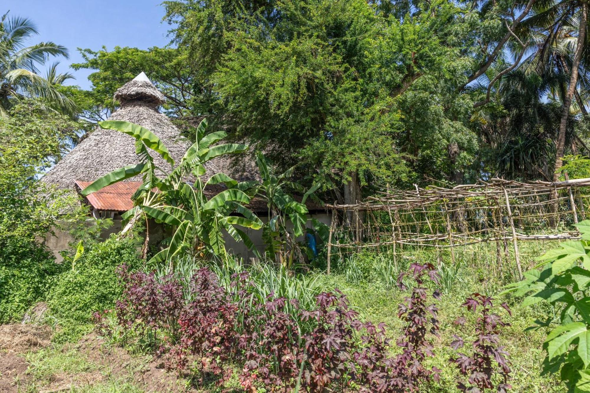 Mbweni Ruins & Gardens Previously Jungle Paradise Zanzibar Luaran gambar