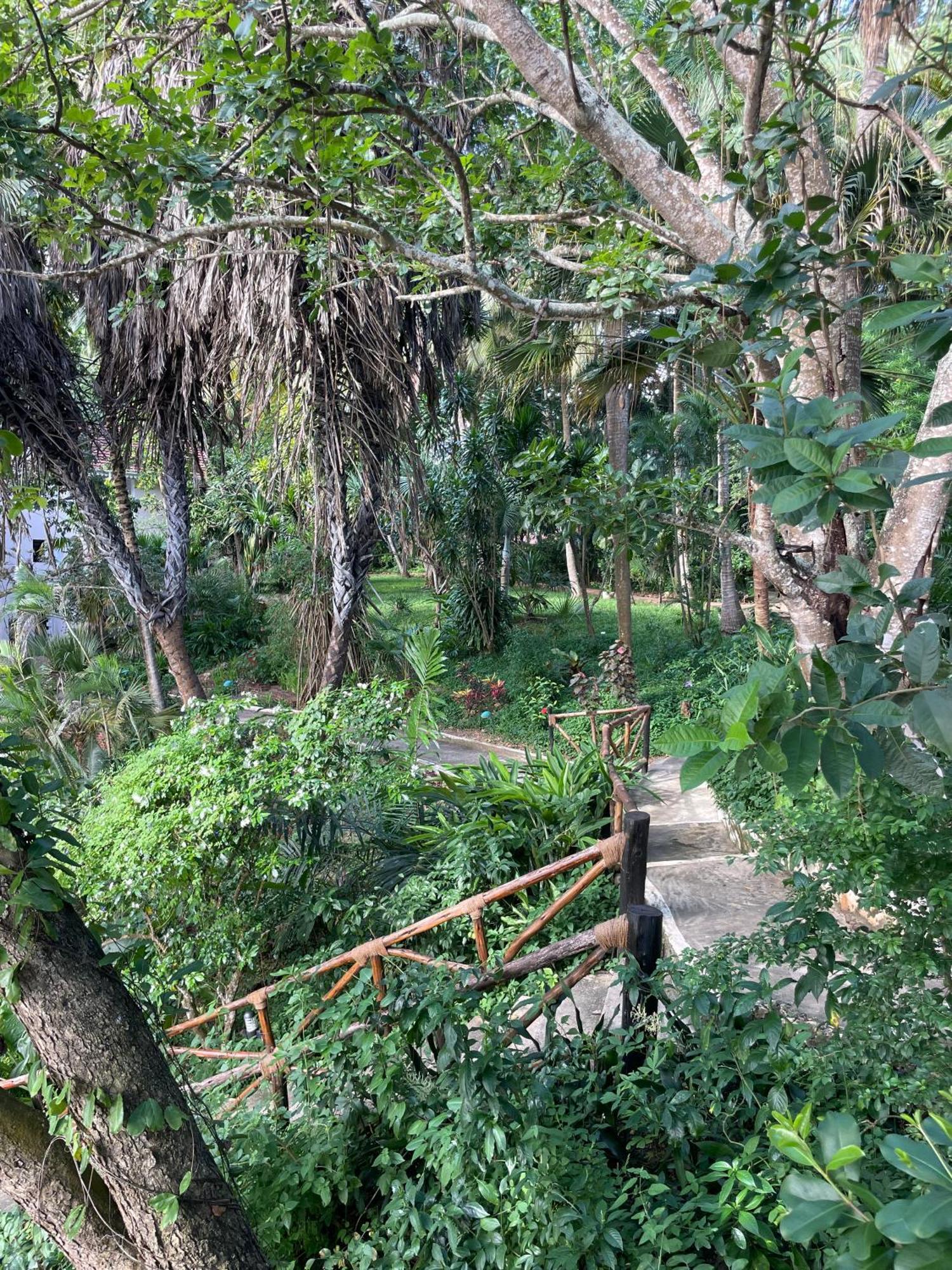 Mbweni Ruins & Gardens Previously Jungle Paradise Zanzibar Luaran gambar