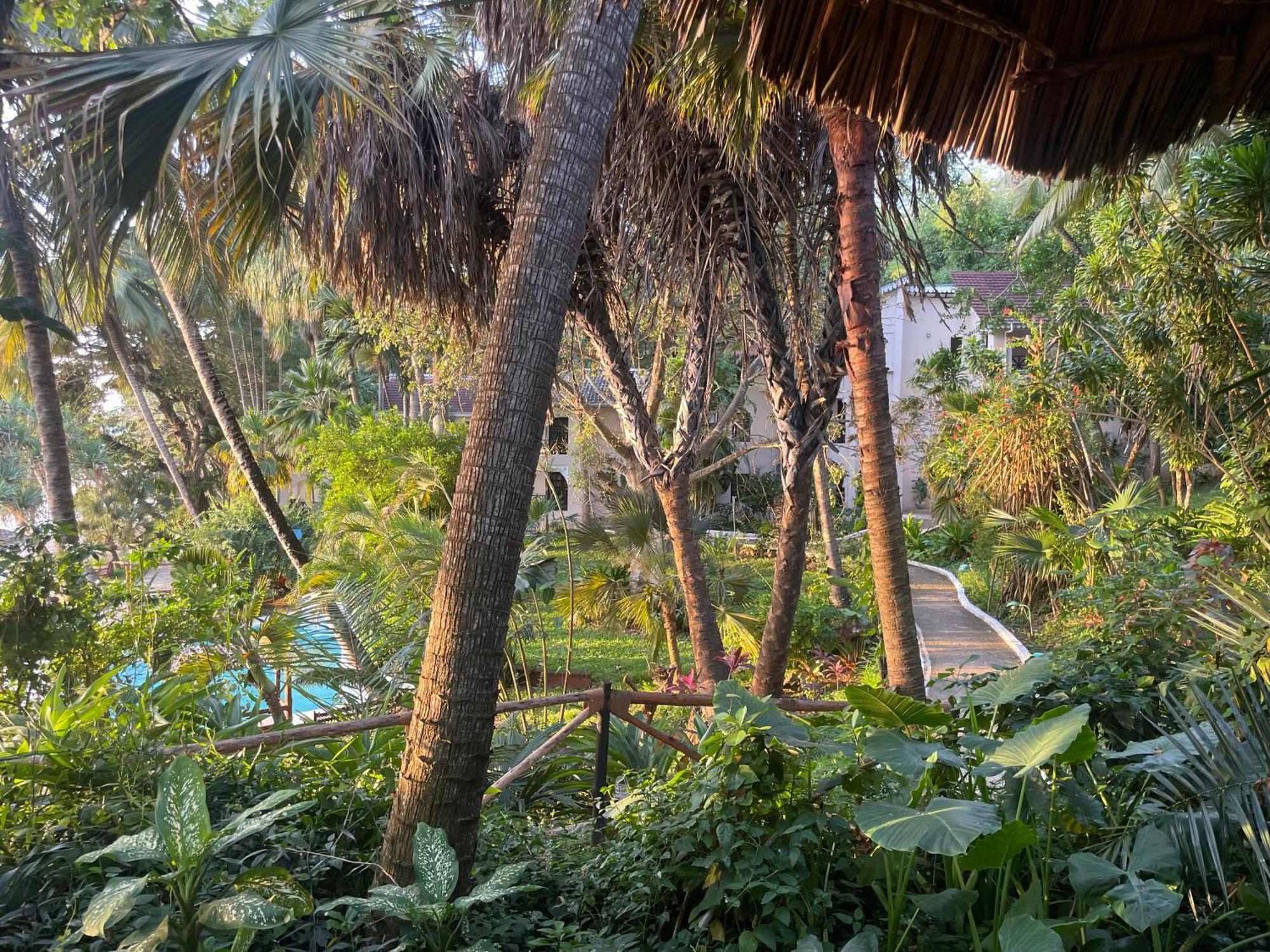 Mbweni Ruins & Gardens Previously Jungle Paradise Zanzibar Luaran gambar
