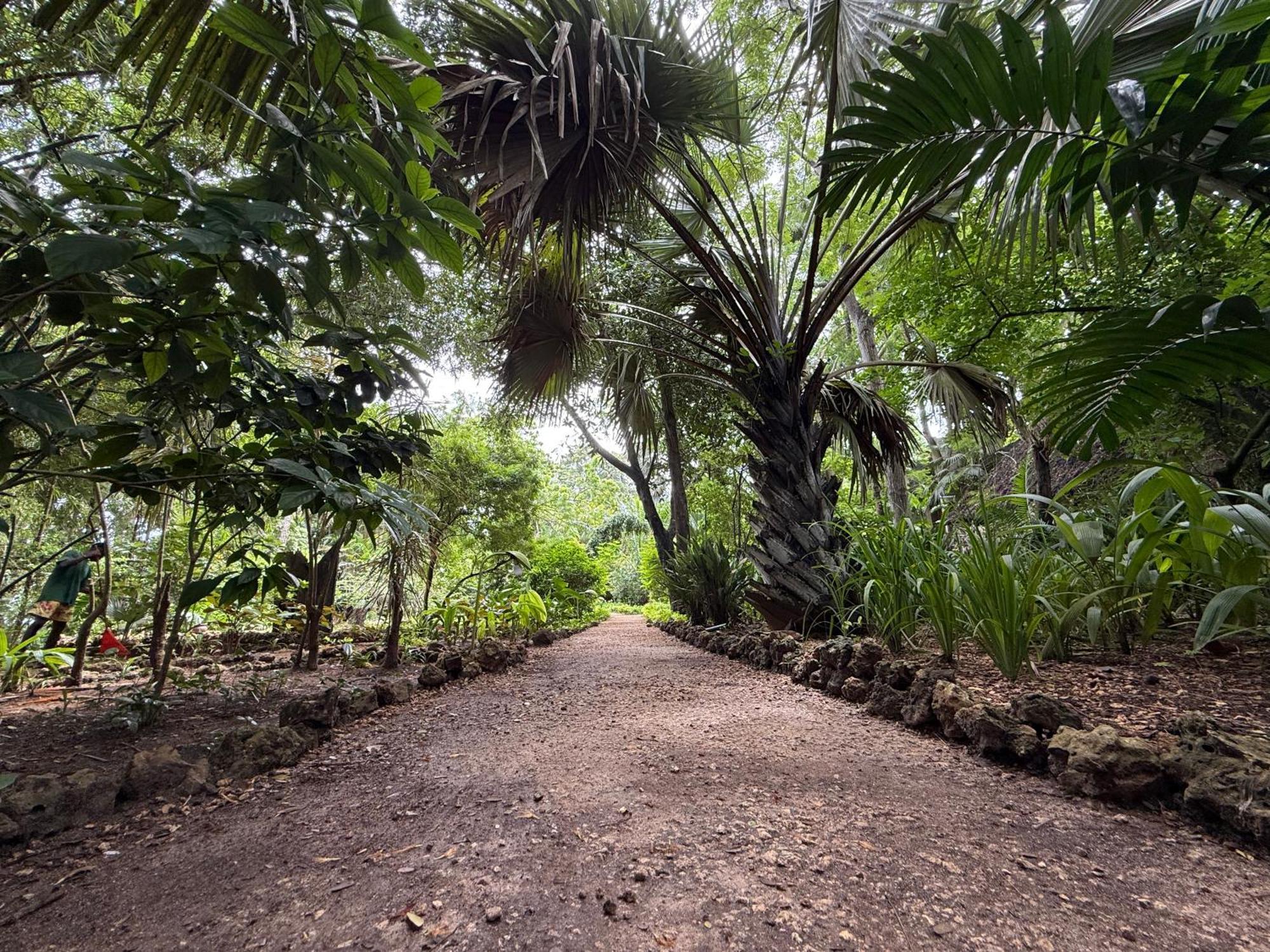 Mbweni Ruins & Gardens Previously Jungle Paradise Zanzibar Luaran gambar