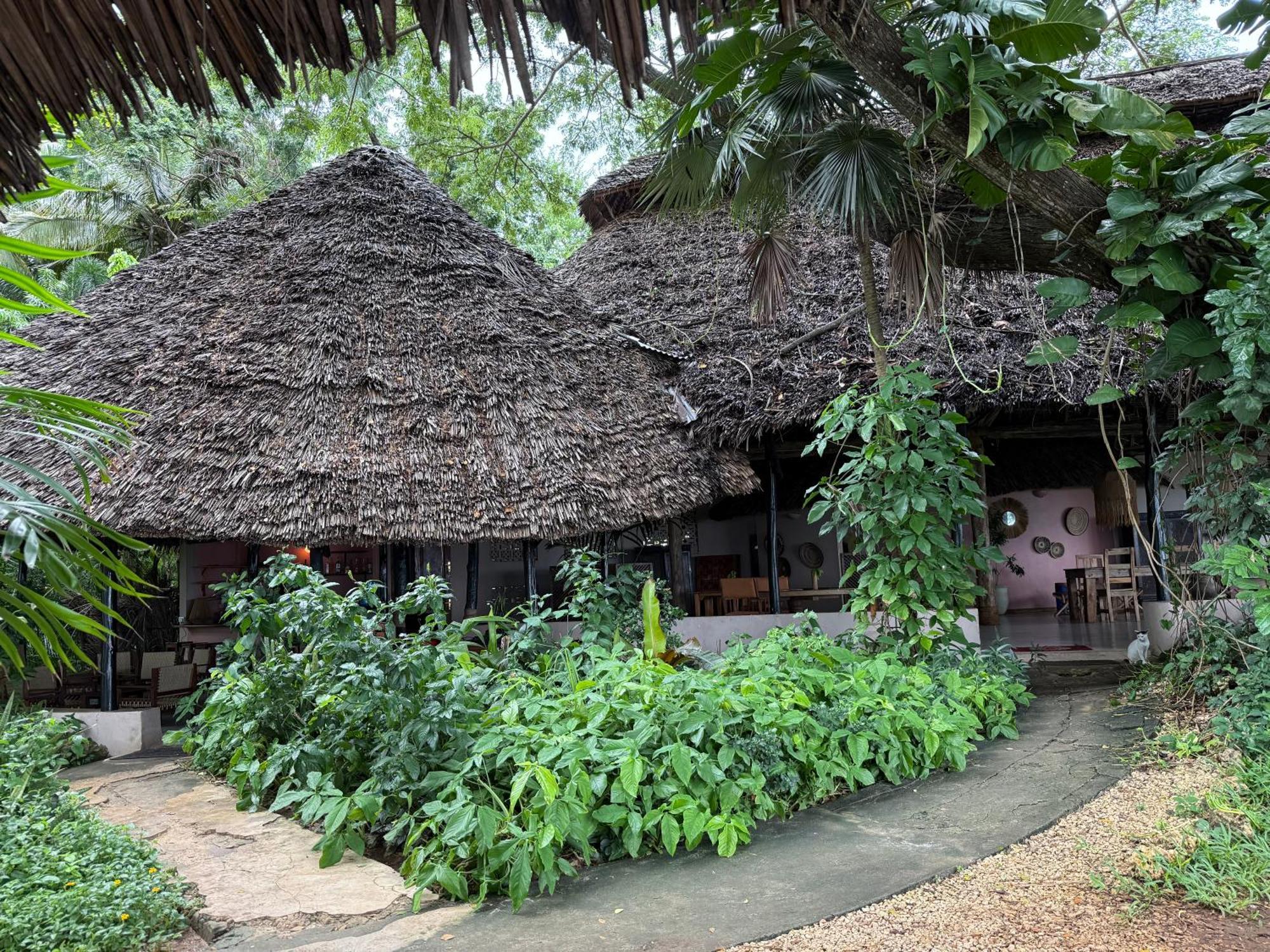 Mbweni Ruins & Gardens Previously Jungle Paradise Zanzibar Luaran gambar