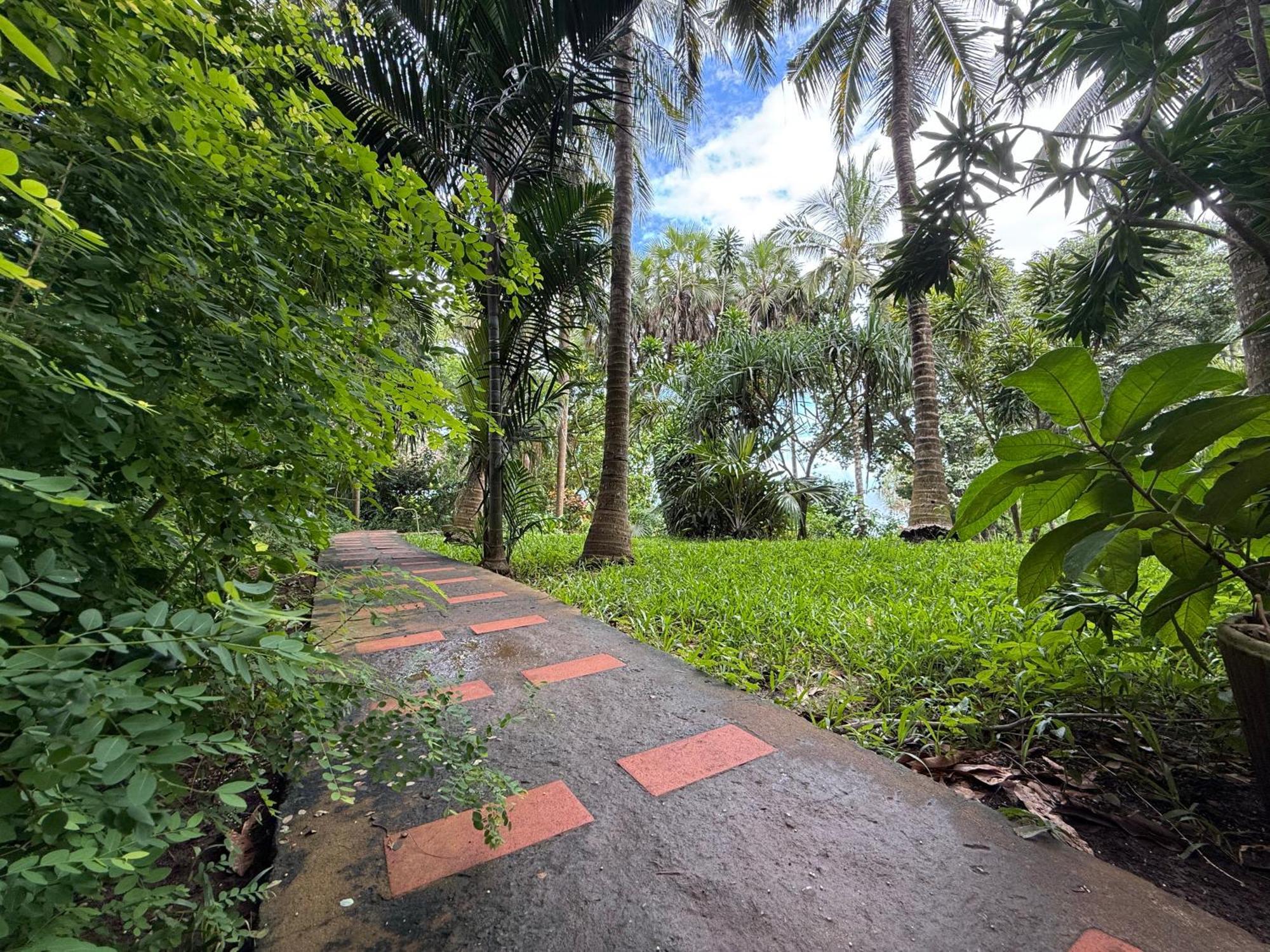 Mbweni Ruins & Gardens Previously Jungle Paradise Zanzibar Luaran gambar